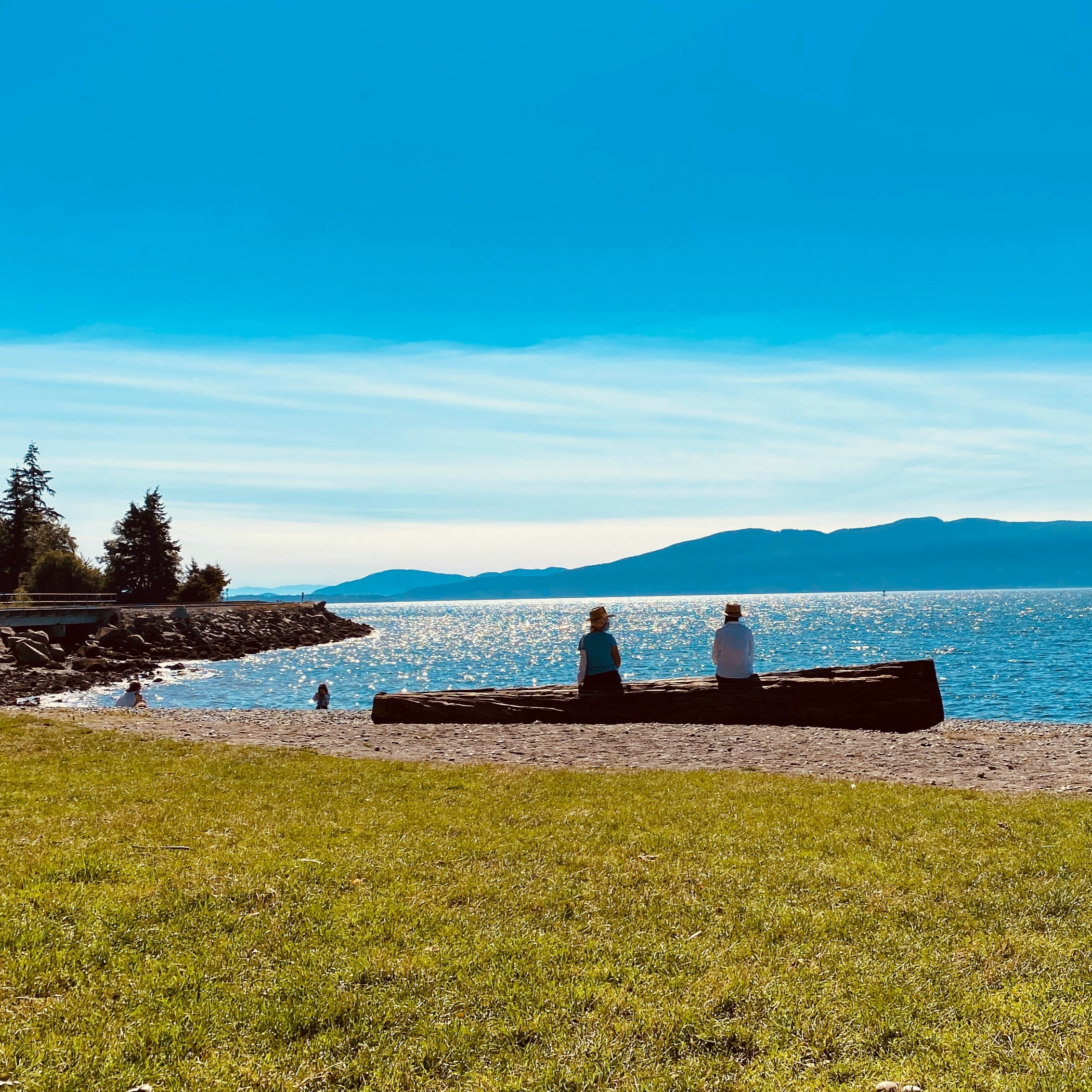 alf-palacios-1S1CqdC_Adw-unsplash